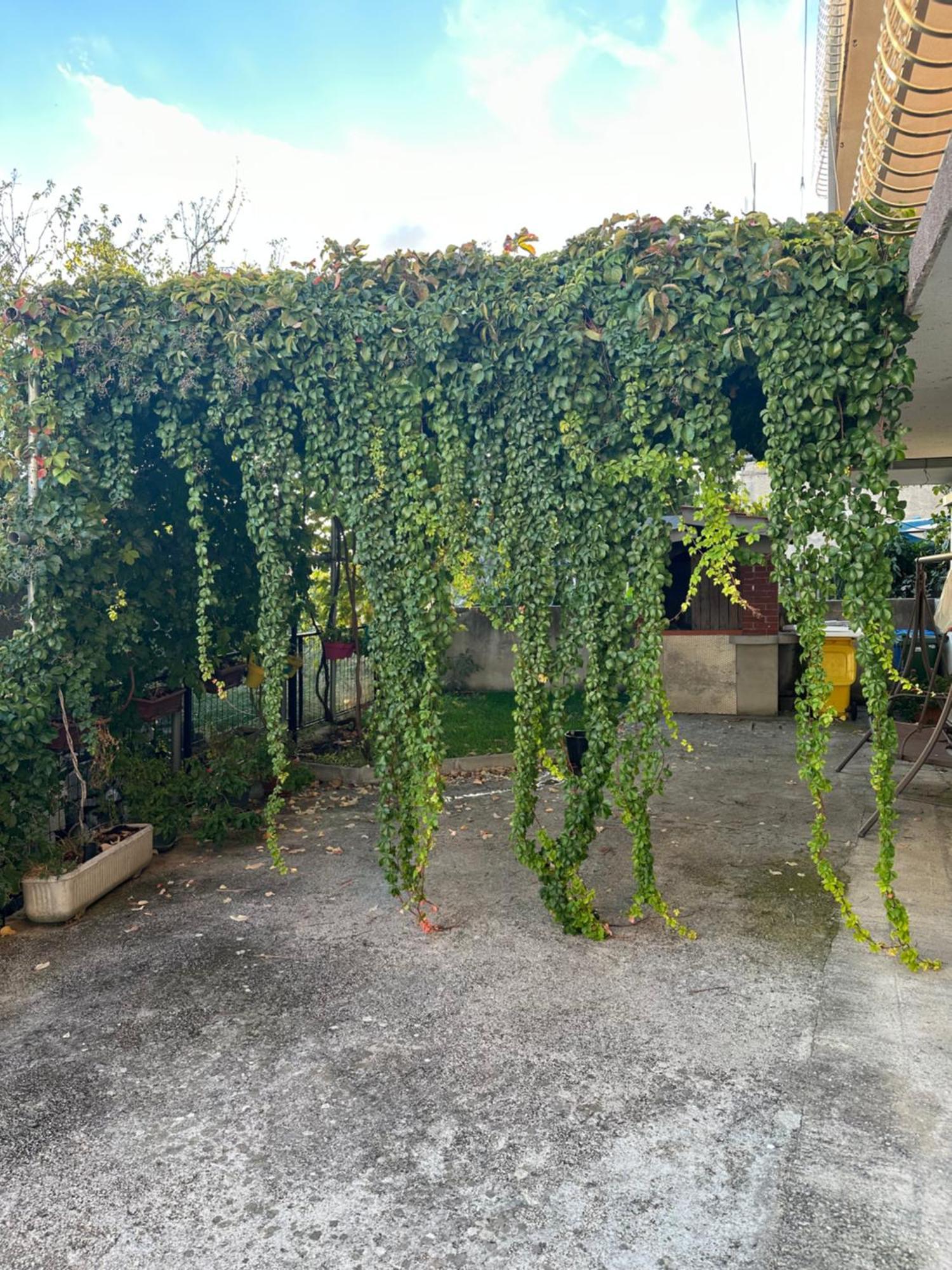 Apartment Roma Kastela Ngoại thất bức ảnh